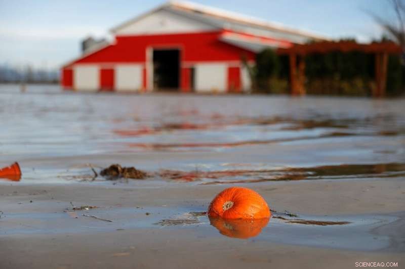 Canada’s Climate Challenges Trigger Global Shortages of Mustard and French Fries