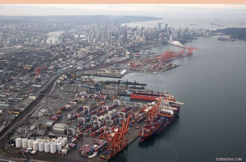 Canada’s Climate Challenges Trigger Global Shortages of Mustard and French Fries