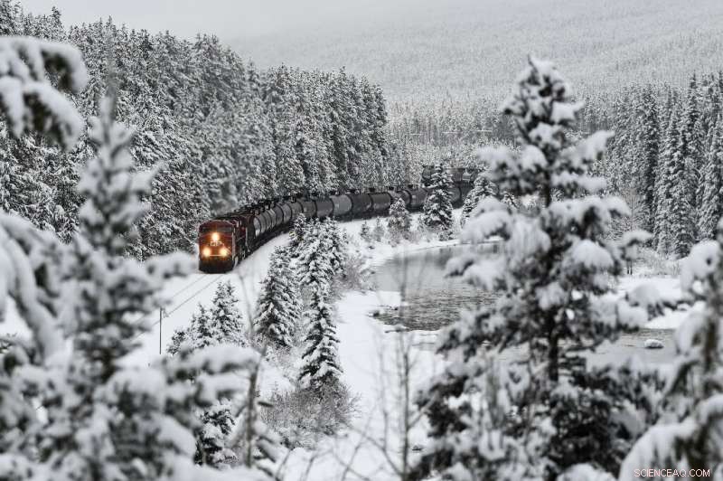 Canada’s Climate Challenges Trigger Global Shortages of Mustard and French Fries
