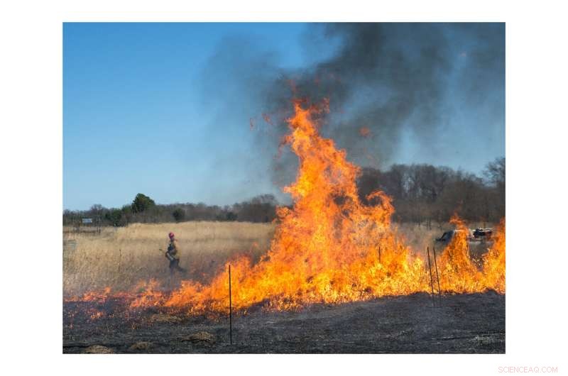 Controlled Burns Unlock Soil Carbon to Combat Climate Change