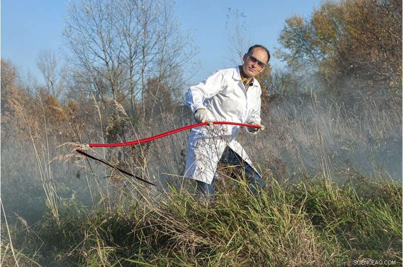 Exploring the Atmospheric Life Cycle of Volatile Biogenic Compounds