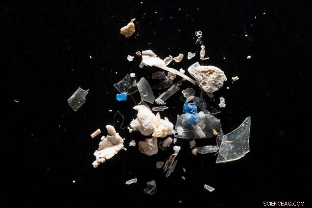 Urgent Action Needed: Lawmakers Must Address Microplastic Pollution