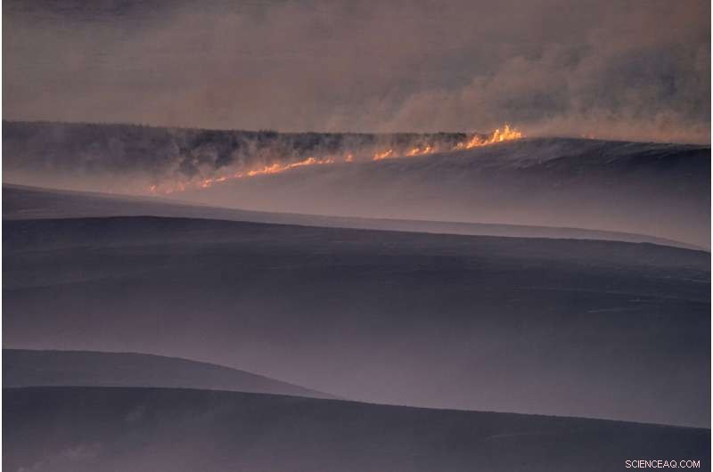 Understanding Derecho: What It Is and Why It Matters