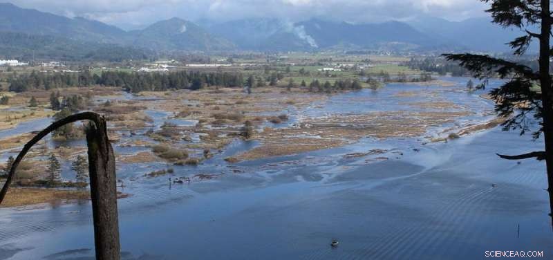 Tillamook Bay Wetlands Restoration Yields Extensive Socioeconomic Gains, New Report Reveals