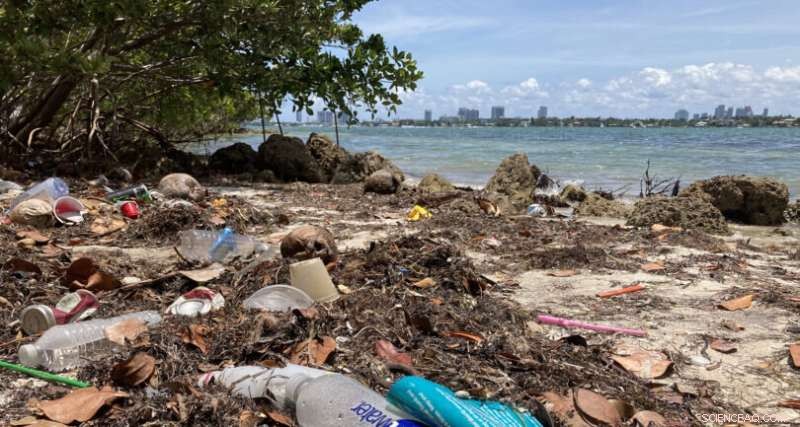 UGA Researchers Collaborate with Miami to Combat Plastic Pollution