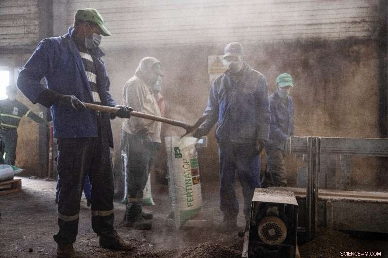 Elephant Vert Transforms Morocco s Waste into Compost, Tackling Trash Crisis