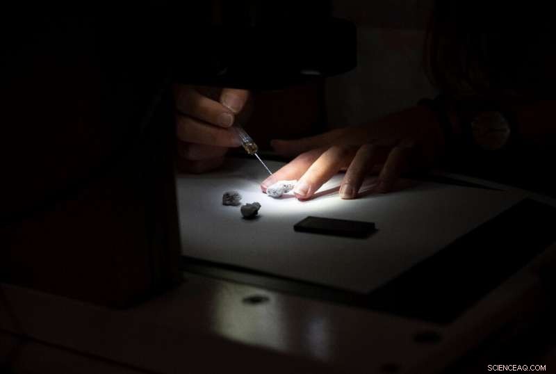 Scientists Dive Beneath La Palma Volcano to Study Eruptive Lava