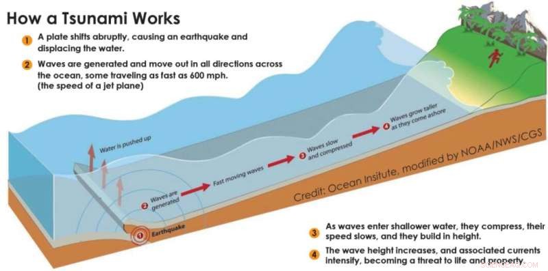 How Earthquake Depth Shapes Tsunami Threats
