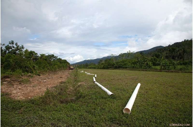 15-Year Deforestation Surge Puts Millions of Outdoor Workers at Risk