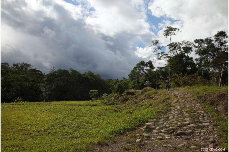 15-Year Deforestation Surge Puts Millions of Outdoor Workers at Risk