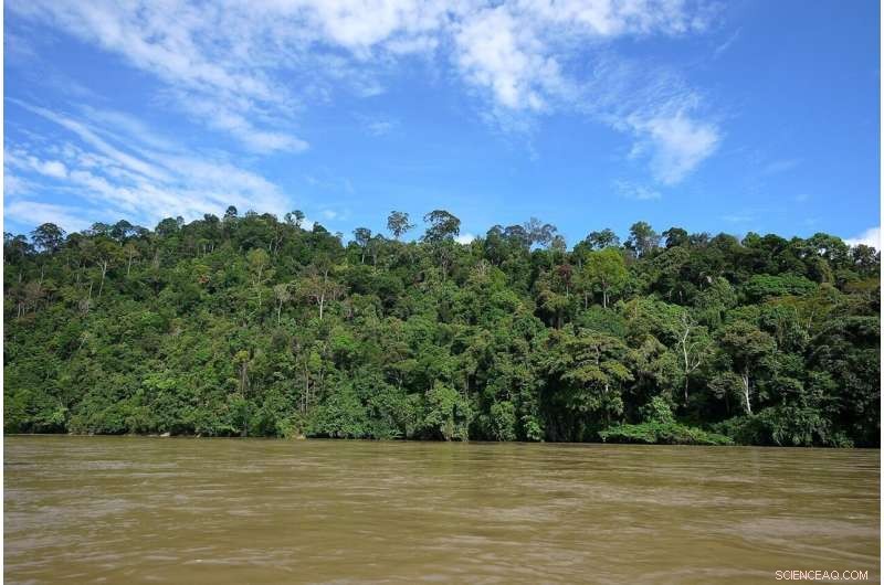 15-Year Deforestation Surge Puts Millions of Outdoor Workers at Risk