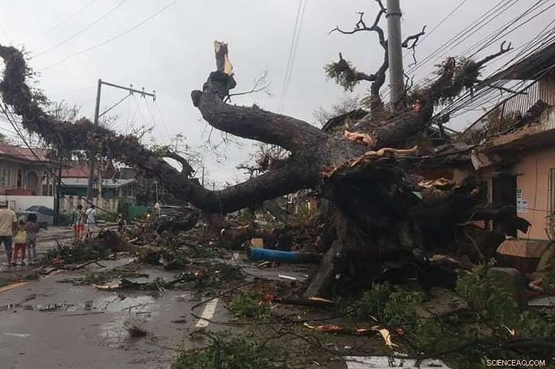 12 Fatalities Reported as Record-Breaking Typhoon Devastates the Philippines