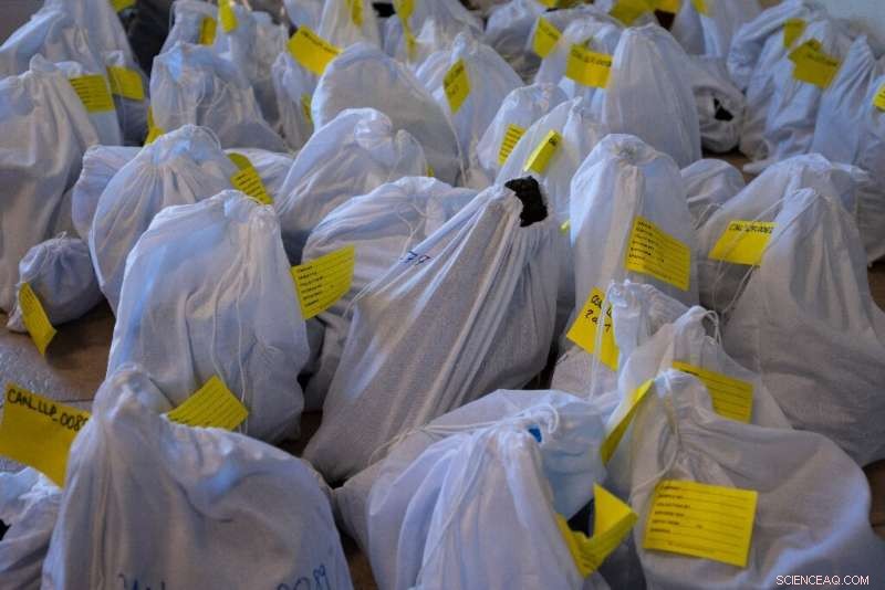 Spanish Residents Gradually Rebuild Lives After La Palma Volcano Disaster