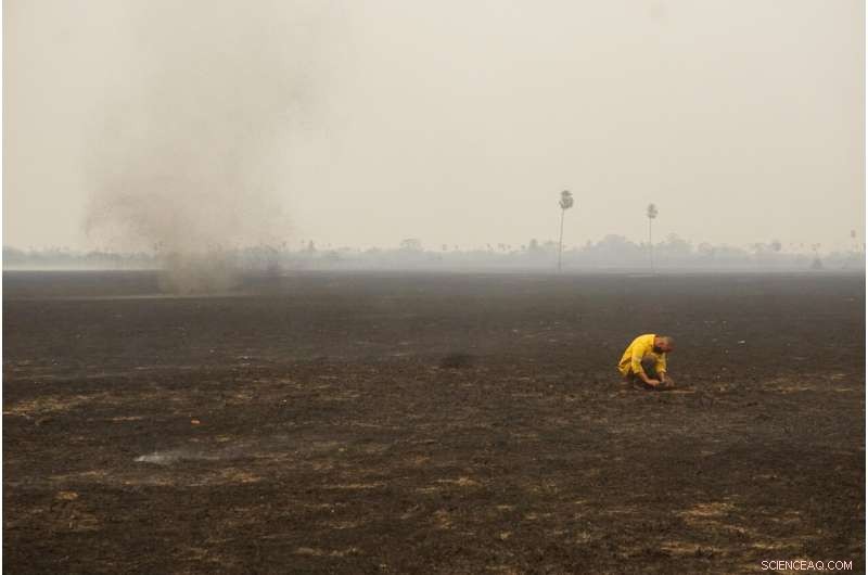 Study Reveals 17 Million Vertebrates Lost in Brazil s 2020 Wildfires