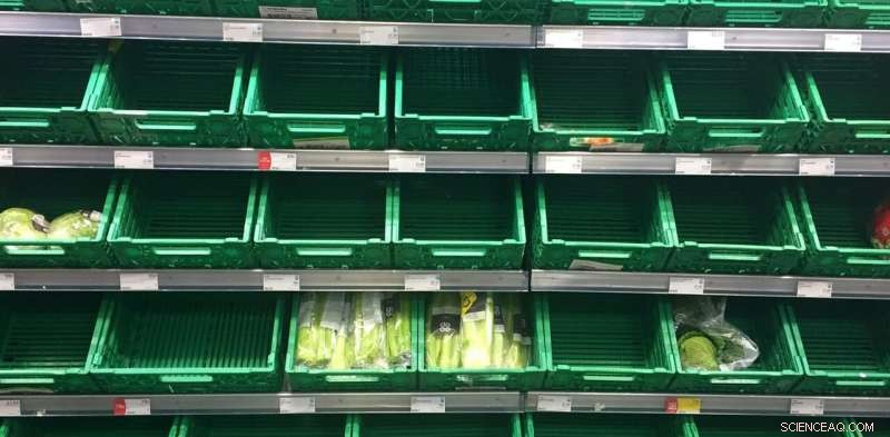 Climate Change, Extreme Weather, and the Growing Threat of Food Scarcity and Rising Prices