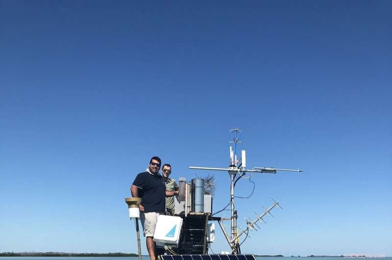 Seagrass: A Key Climate Mitigation Tool, Not a Miracle