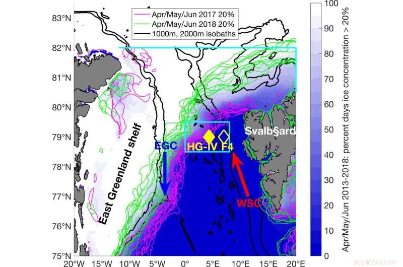 How Arctic Ocean Meltwater Shapes Marine Ecosystems