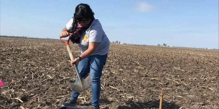 New Study Illuminates How Nitrogen Influences Soil Carbon Sequestration