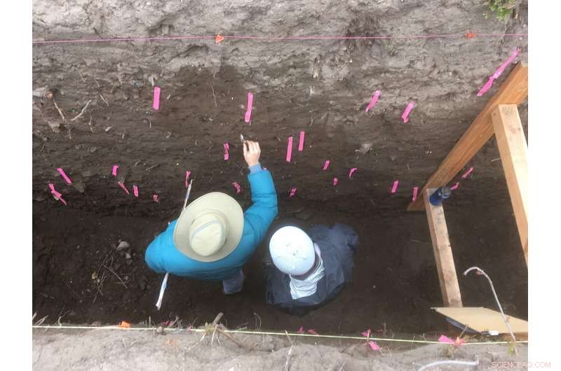 Scientists Find Shared Earthquake Events on San Andreas and San Jacinto Faults