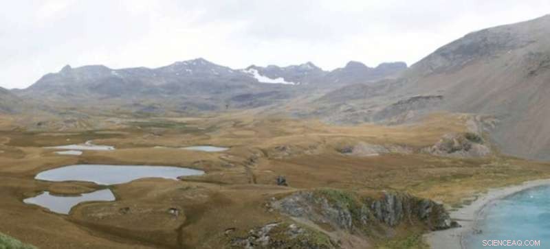 10,000-Year-Old Wind Patterns Revealed: Storm Forecasts from South Georgia Pollen