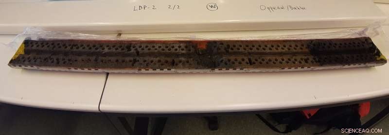 10,000-Year-Old Wind Patterns Revealed: Storm Forecasts from South Georgia Pollen