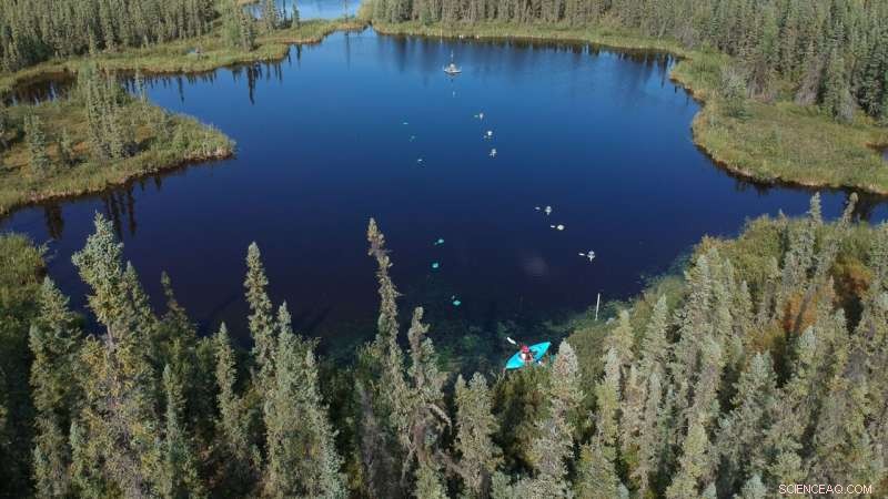 Alberta Researchers Unveil Advanced Tools for Accurate Methane Emission Estimates from Permafrost