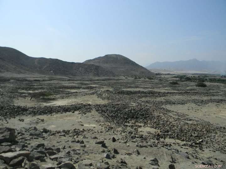 Scientists Uncover Climate History in Clam Shells