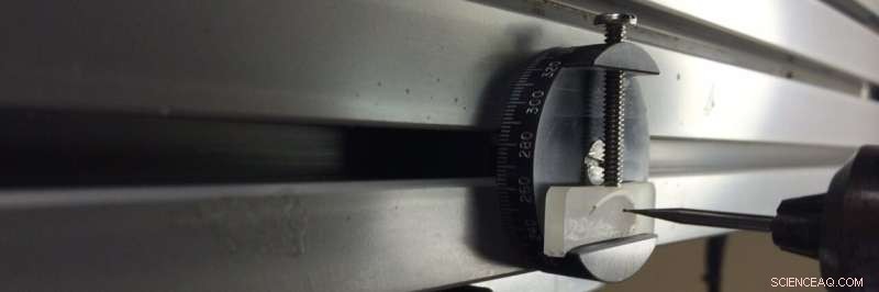 Scientists Uncover Climate History in Clam Shells