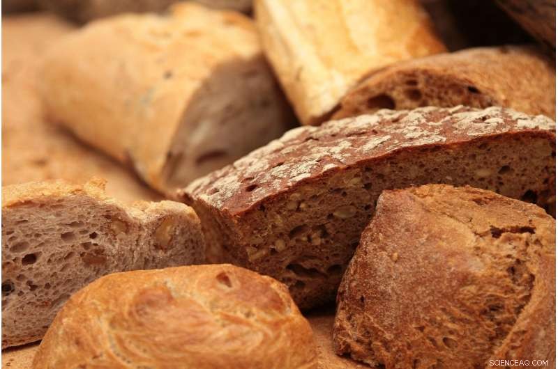 Sweden s First Quantitative Study Reveals Tons of Bread Are Wasted Annually