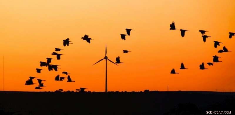 Coal’s Rapid Decline: Victoria to Exit by 2032—Urgent Government Support Needed