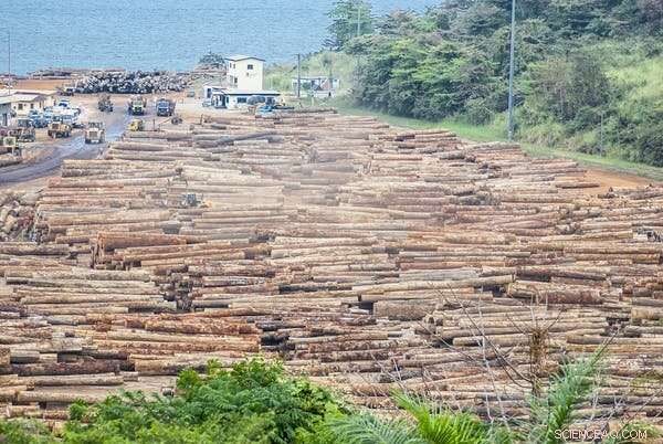 Holiday Shopping and Climate Change: How Seasonal Consumption Drives Global Warming