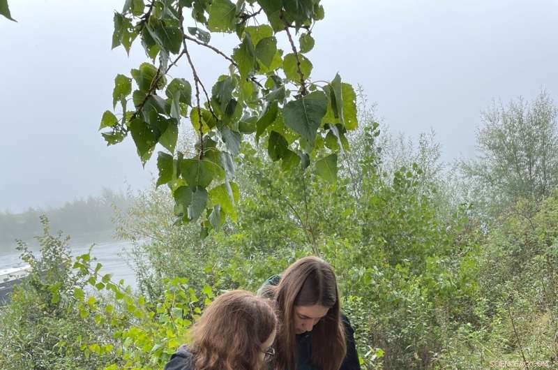 Escalating River Management Pressures Amplify Flood Frequency