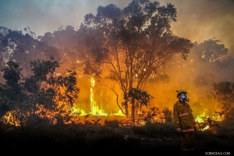 Australia Battles Dual Natural Disasters: West Coast Bushfires & East Coast Flooding