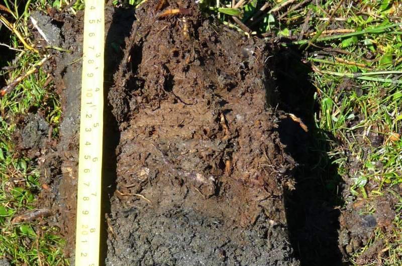 Scientists Uncover Hidden 1737 Chilean Tsunami