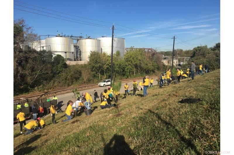 Super Trees: A Proven Strategy to Protect Houston’s Environment and Beyond