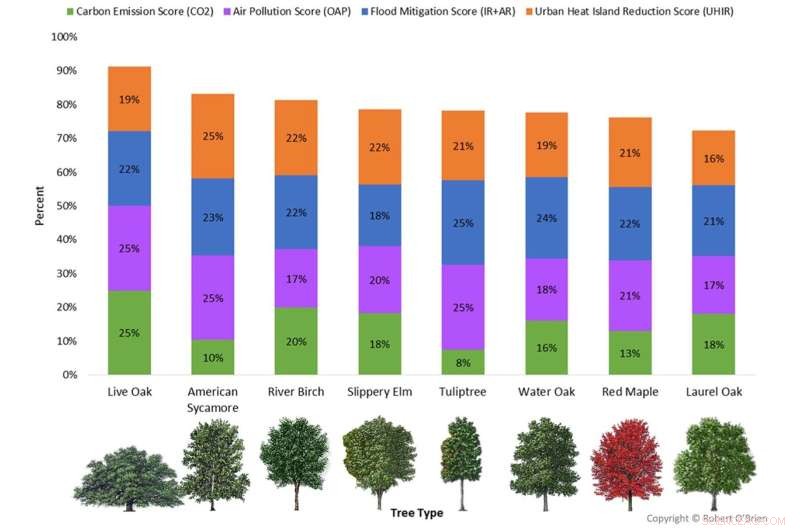 Super Trees: A Proven Strategy to Protect Houston’s Environment and Beyond