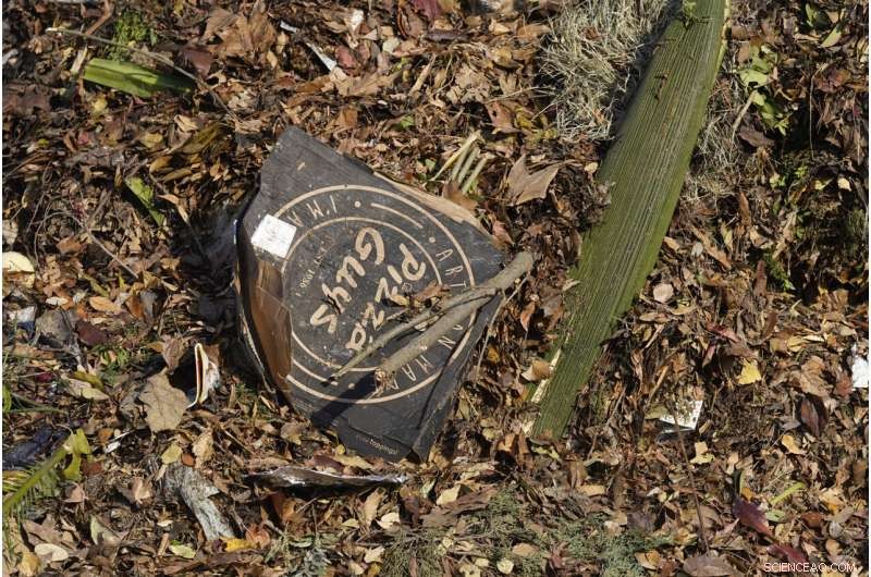 California Mandates Composting to Cut Food Waste Emissions