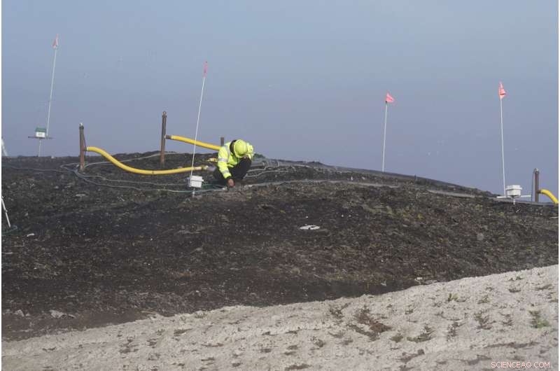 California Mandates Composting to Cut Food Waste Emissions