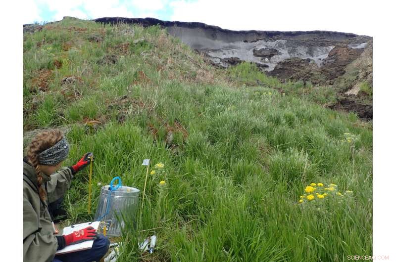 Siberian Permafrost Revealed as Major New Source of Nitrous Oxide, a Powerful Greenhouse Gas