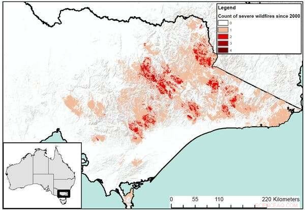 Australia’s Forests Face Reduced Carbon Storage Amid Climate Change and Escalating Wildfires