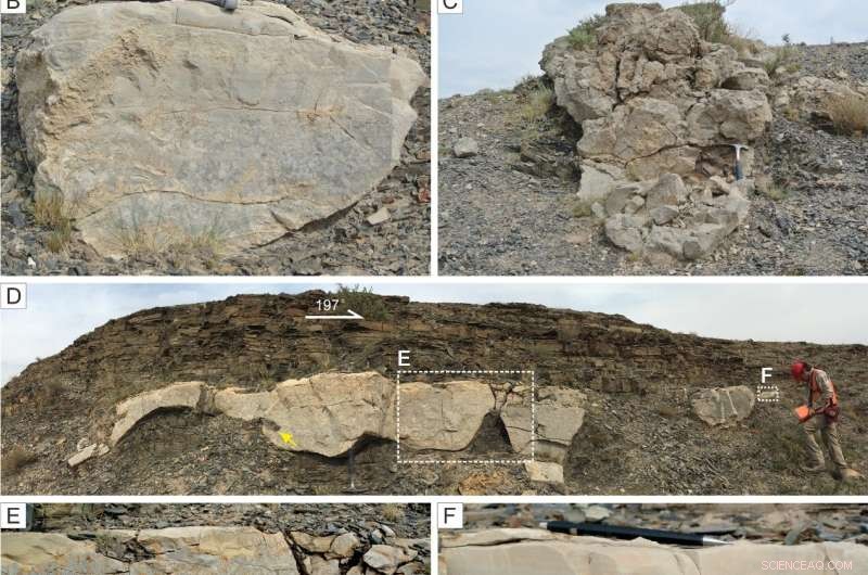Unveiling the Mechanisms Behind Carbonate Mass‑Transport Deposits