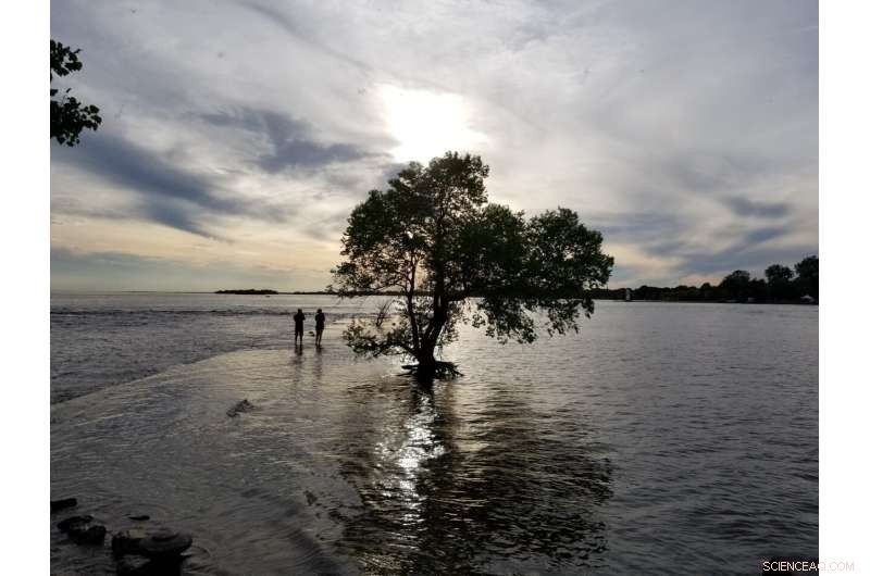 Rising Seas Threaten Canada’s Atlantic and Pacific Coasts: Protective Strategies and Strategic Retreats