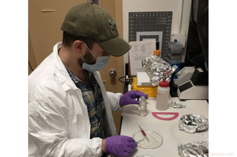 Bio‑Based Cellulose Acetate Plastic Degrades in Ocean Faster Than Expected