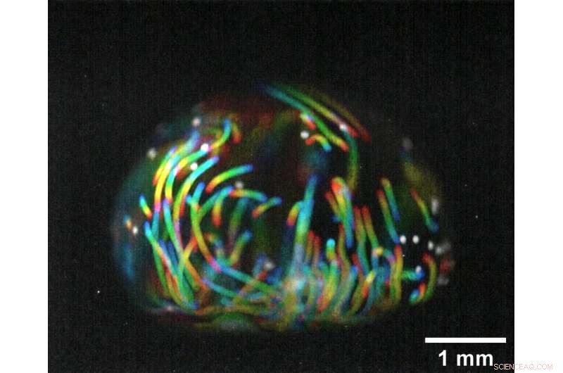 Liquid Marbles: Tiny Tech Offering Big Breakthrough in Carbon Capture