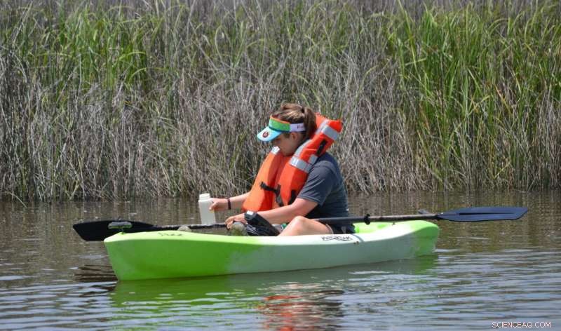 Researchers Assess Multiple Wastewater Contamination Markers Near Shellfish Farms