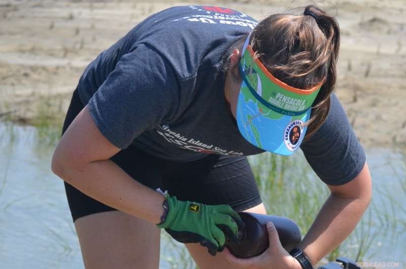 Researchers Assess Multiple Wastewater Contamination Markers Near Shellfish Farms