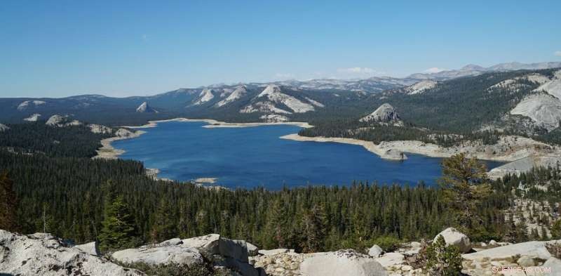 California’s Water Crisis Deepens: Climate Change Fuels Record Drought in the Sierra Nevada