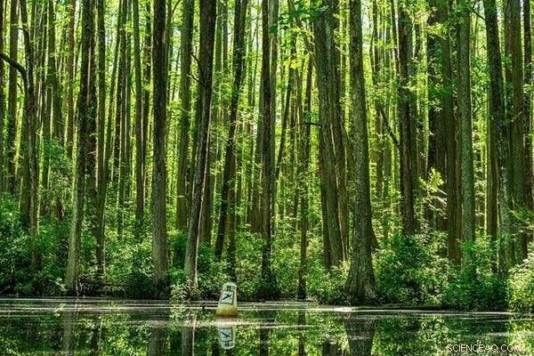 Why We Must Make Ecocide an International Crime to Protect Its Victims