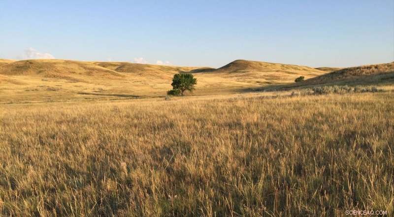 Prioritizing Protection of Vulnerable Carbon‑Storing Landscapes