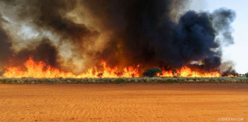 Australia s Remote Fires: A Professional Firewatcher s Perspective on the Unprecedented Wildfire Scale